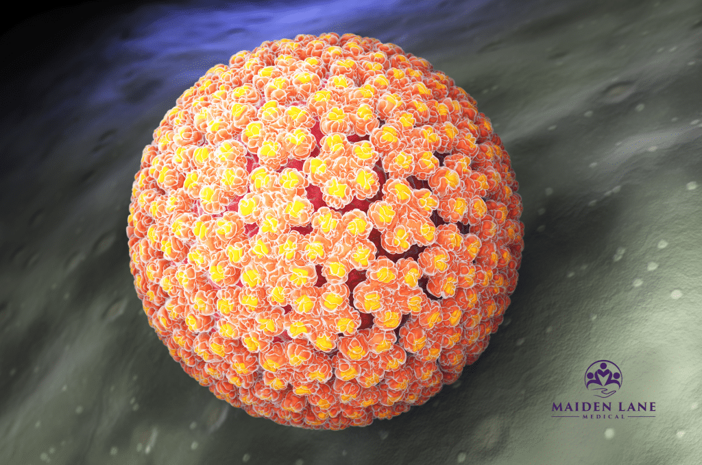 HPV virus magnified up close.